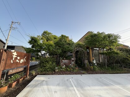 きらめくの写真