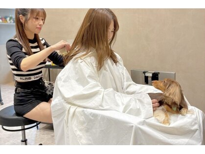ドッグマニアピンチアオヤマ(DOGMANIA PiNCH AOYAMA)の写真