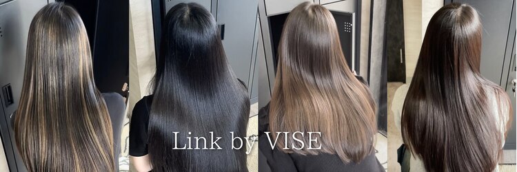 リンクバイビセ 髪質改善(link by vise)のサロンヘッダー