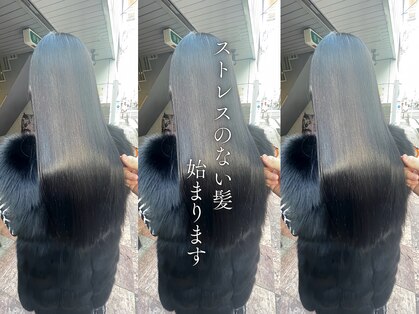 オリノ(olino)の写真
