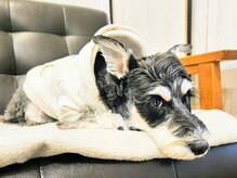 銀座ラボ アンド スリークス(銀座LA BO&SLEEKS)