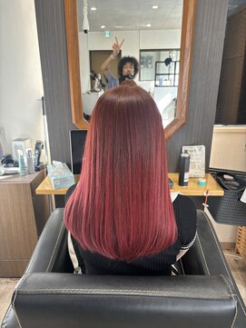 シベル(Si-Belles) レッドバレイヤージュカラー