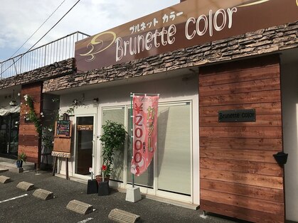 ブルネットカラー(Brunette color)の写真