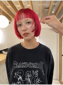 【刈谷　安城　知立】　レッドミニボブ