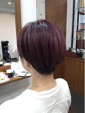 イベリス(Iberis) コンパクトマッシュ×ラベンダーカラー