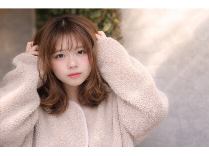 テラ(terra)の写真