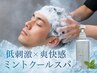 【ー5℃】カットコース＋ミントクールスパ(シャンプープレゼント)￥13,640