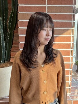 ルームヒゴバシ(room higobashi) 透け感オリーブブラウン/繋がるレイヤー/OWAY Hcolor