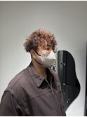 プードルツイスパ