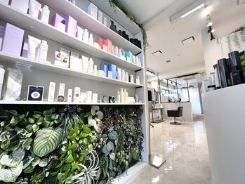 macherie mukonosou【マシェリ　ムコノソウ】