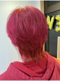 ウルフ レッド