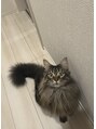 タヤ 心斎橋店(TAYA)&nbsp;2歳になる猫がいます。毎日の癒しです♪