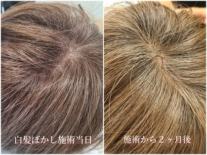 クシェルヘア(kuschel hair)の写真