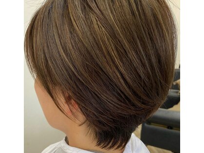 花鳥風月の写真