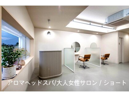 ノーラ(nolla)の写真