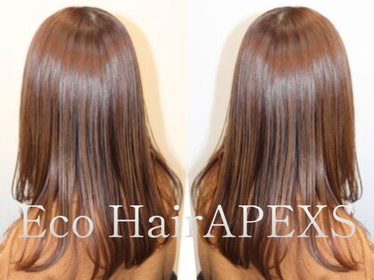 エコヘアー アペックス(Eco Hair APEXS)の写真