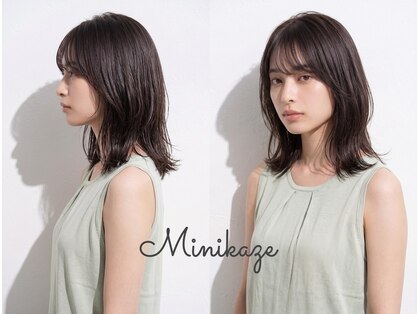 ミニカゼ(Minikaze.)の写真