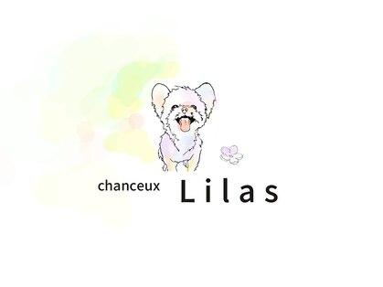 リラ(chanceux Lilas)の写真