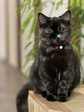 ルーシー ヘアデザインワークス(Lucy Hair Design Works) デイジー