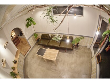 アニー(annie)の写真