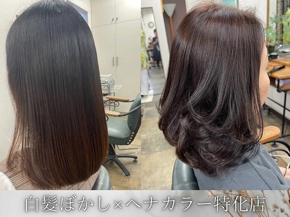 サロン ド イルエル 片山店(Salon d' ilelle)の写真