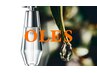 【2ヶ月限定】 OLES(オーレス)シャンプー&トリートメント体験付き カット