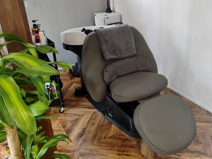 リノ(Lino)の写真