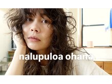 ナループロアオハナ(Nalu pu loa ohana)