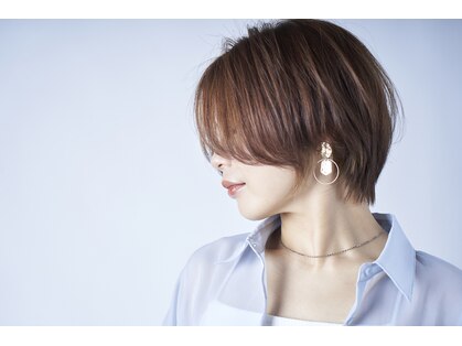 キャノンボールヘアの写真