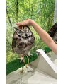 ハッコ(hacco) 動物が好きです☆フクロウを触ってきました!【和光/練馬/板橋】