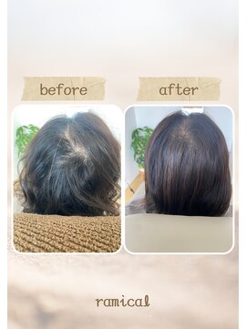 ラミカル(ramical) ヘアループ　エクステ500本