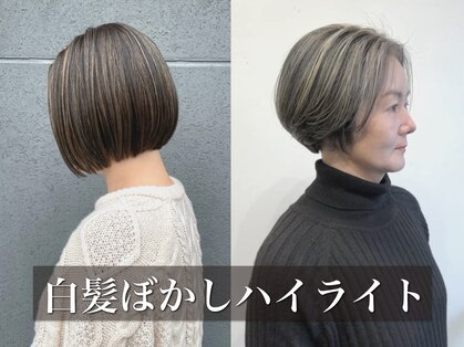 シズク(sizuk)の写真