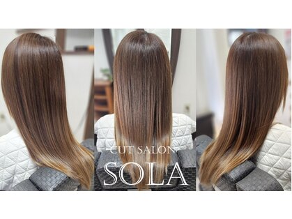 ソラ(SOLA)の写真