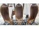 ソラ(SOLA)の写真