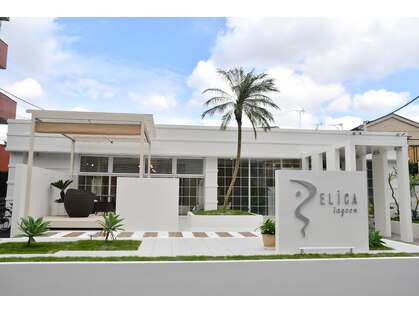 エリカラグーン(ELICA lagoon)の写真
