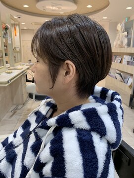 アッシュ 仙川店(Ash) 50代 丸みショート 白髪ぼかし イルミナカラー ショートボブ