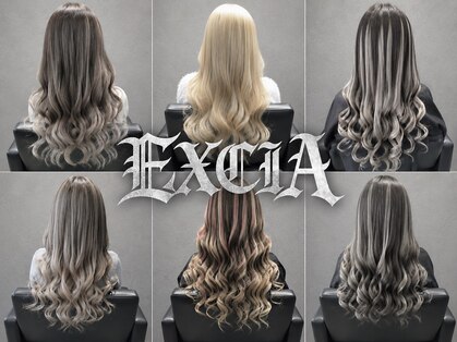 エクシア(EXCIA)の写真