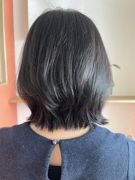 カシコ(cacico) シルキーカット