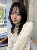 韓国風レイヤーミディアムシースルーバングヘア