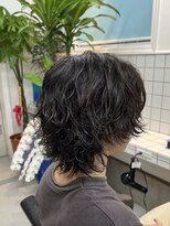 ドルクス(Dorcus)&nbsp;サーフカール