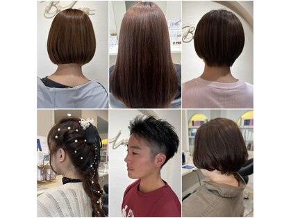 ボレロ(Bolero)の写真