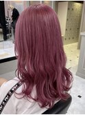 ピンクラベンダー