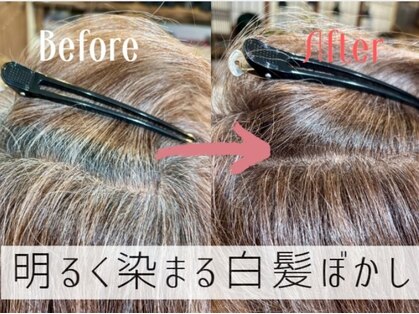 完全個室プライベートサロン Coo　髪質改善/白髪ぼかし【クー】の写真