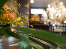 ヘアープロデュース アクト(hair produce Act)の雰囲気(癒しの空間…♪)