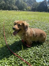 モエバイアリア(Moe by aria)&nbsp;スタッフ 募集