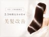 【当日・ご新規様限定｜2.5時間完全お任せ 美髪改善 ￥13200】