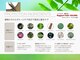 ラポールヘアカラーズ イオンタウン矢本店(Rapport Hair COLORS)の写真