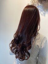 ロジックマジック(Logic Magic)&nbsp;ボルドーカラー