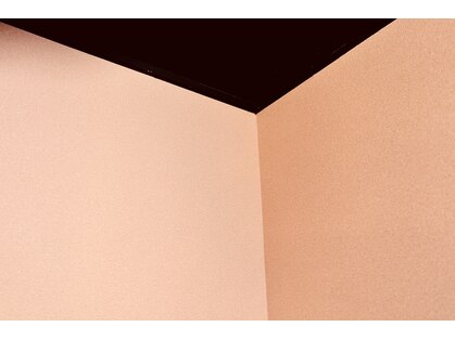 キジ(KIJI)の写真