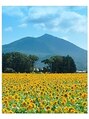 ジュリー(JURY) 地元のひまわりフェスティバル。筑波山も綺麗に見れます。